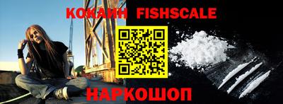 jwh Кингисепп
