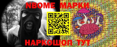 jwh Кингисепп