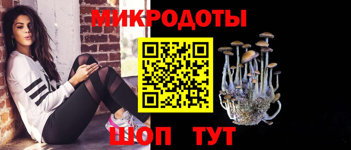 купить наркотики цена  Вход с VPN  Арзамас  Псилоцибиновые грибы прущие грибы 