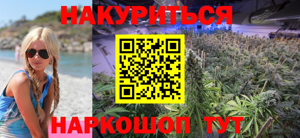 Бошки Шишки планчик  Вход с VPN  Арзамас  Бошки Шишки сатива  Бошки Шишки сатива 